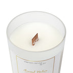Scented Candle - Ancient Nature - 11oz